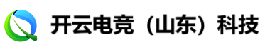 开云电竞（山东）科技有限公司-电竞网络防护专家