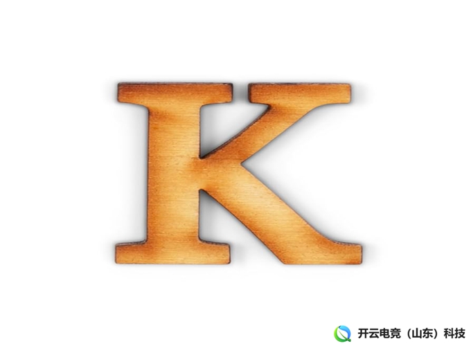 开云电竞-DDoS攻击防护系统